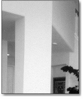 bull-nose.JPG (18993 bytes)