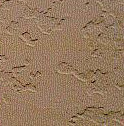 texture-sample3.jpg (11211 bytes)